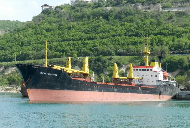 SERGEY SMIRNOV General Cargo IMO 7828724 photo 2