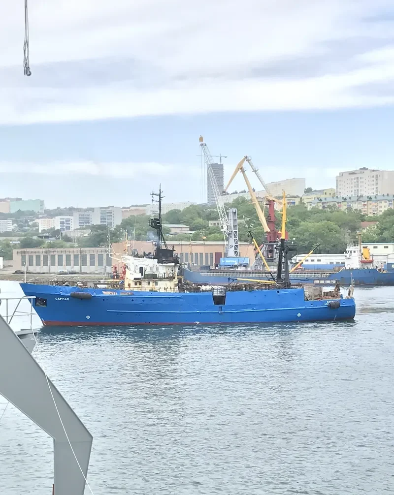 SARGAL General Cargo IMO 7828748