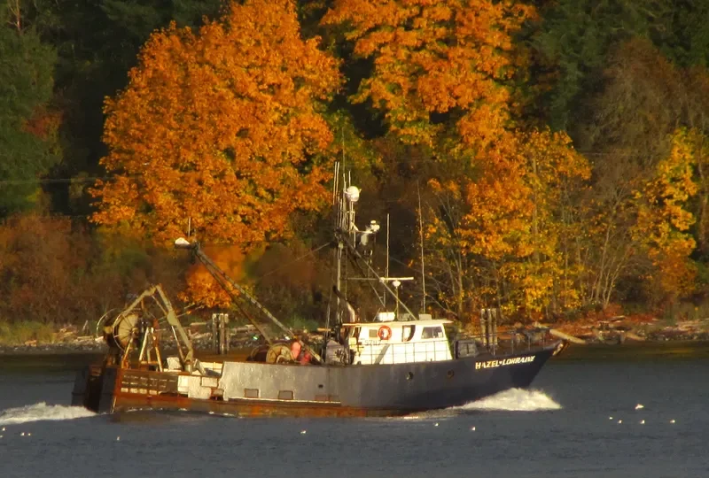 ARCTIC RAM Fishing Vessel IMO 7829120 photo 5