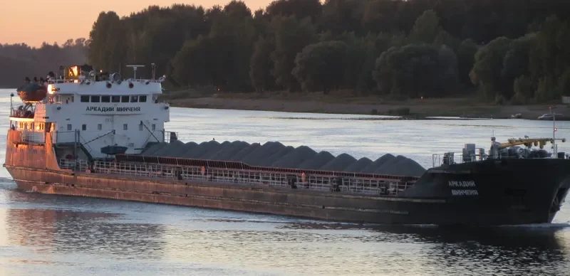 ARKADIY MINCHENYA General Cargo IMO 7829637 photo 3