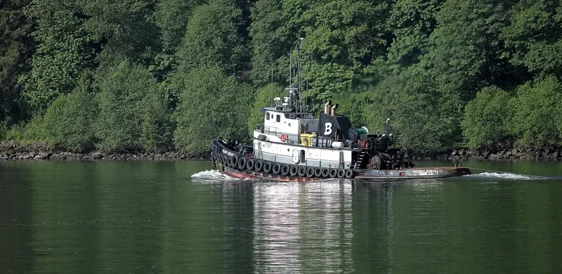 NORMAN O Tug Boat IMO 7829778 photo 3