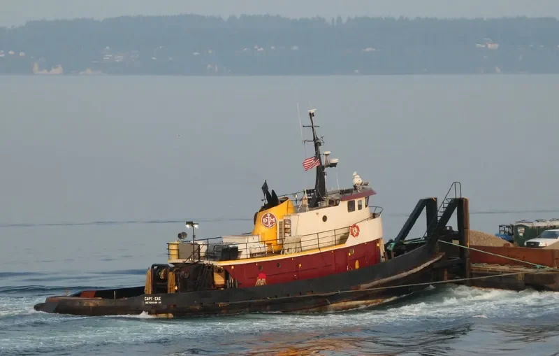 CAPT.CAE Tug Boat IMO 7829780 photo 4