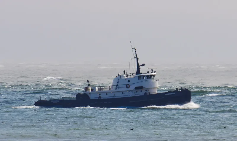 CAPT.CAE Tug Boat IMO 7829780 photo 8