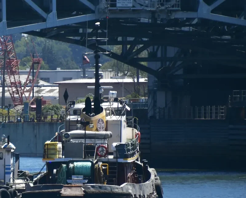 CAPT.CAE Tug Boat IMO 7829780 photo 10