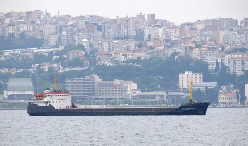 PAVEL GRABOVSKIY General Cargo IMO 7830911 photo 7