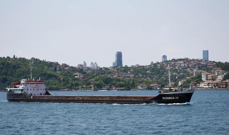 LITTLE SUN General Cargo IMO 7830923 photo 7