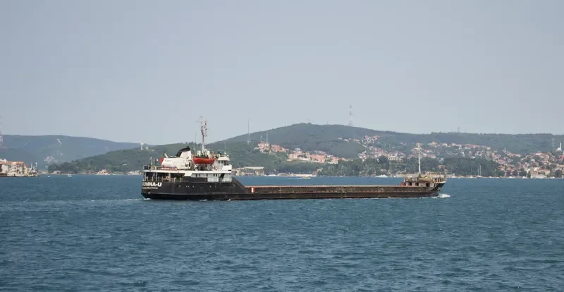 LITTLE SUN General Cargo IMO 7830923 photo 8