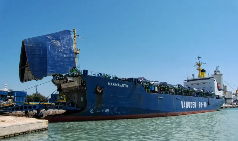 MAXIMAHAVEN Ro-Ro IMO 7831018 photo 3