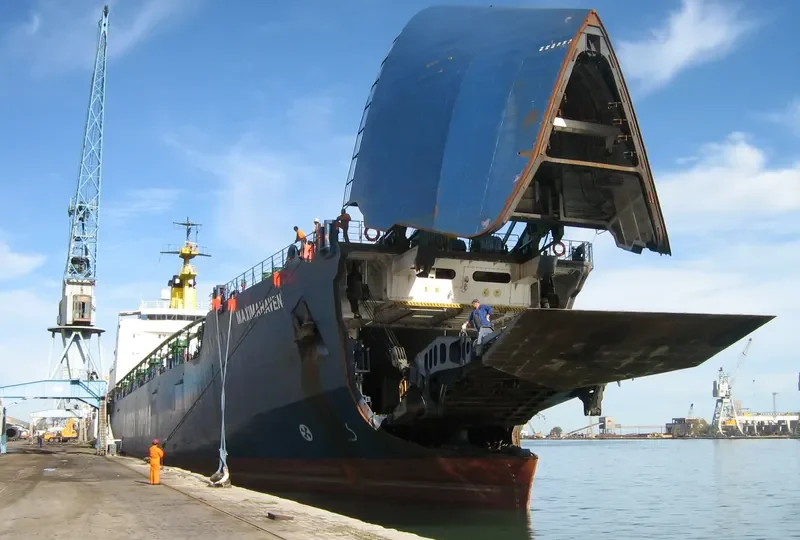 MAXIMAHAVEN Ro-Ro IMO 7831018 photo 6
