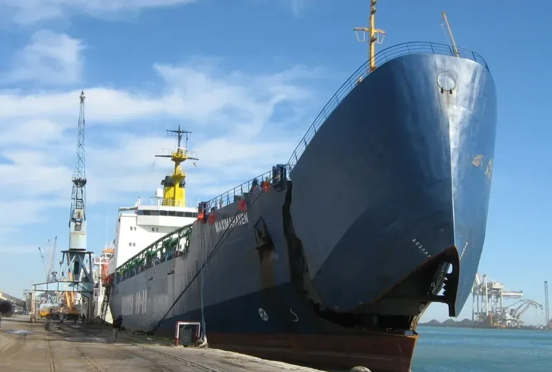 MAXIMAHAVEN Ro-Ro IMO 7831018 photo 7