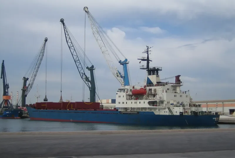 LA PROVIDENCE General Cargo IMO 7831109 photo 6
