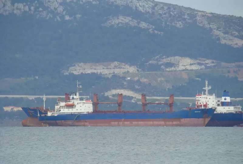 LA PROVIDENCE General Cargo IMO 7831109 photo 8