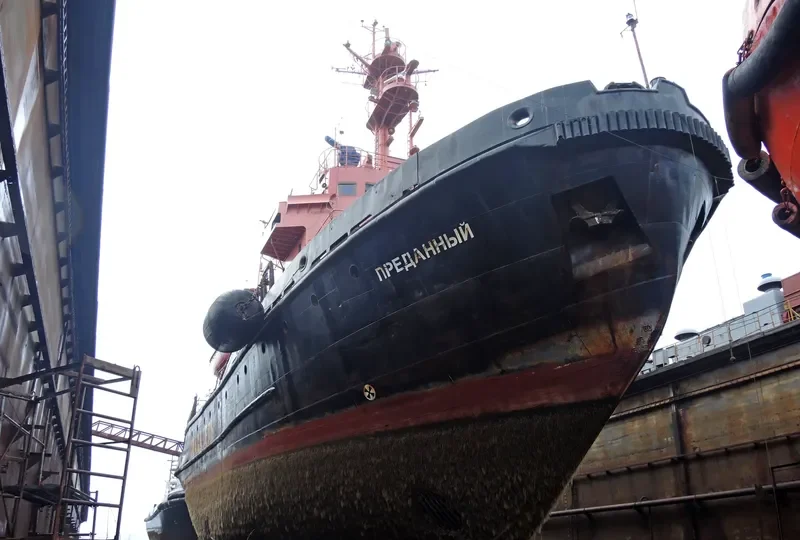 PREDANNYY General Cargo IMO 7831898 photo 7