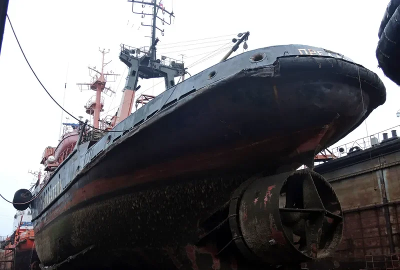 PREDANNYY General Cargo IMO 7831898 photo 8