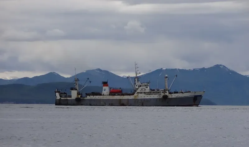 MOSKOVSKAYA OLIMPIADA General Cargo IMO 7832359 photo 3