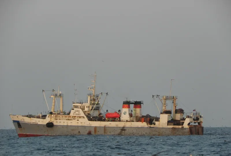 MOSKOVSKAYA OLIMPIADA General Cargo IMO 7832359 photo 4