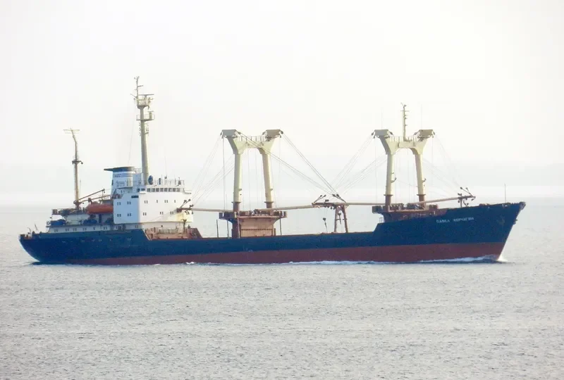 PAVEL KORCHAGIN General Cargo IMO 7832775 photo 5