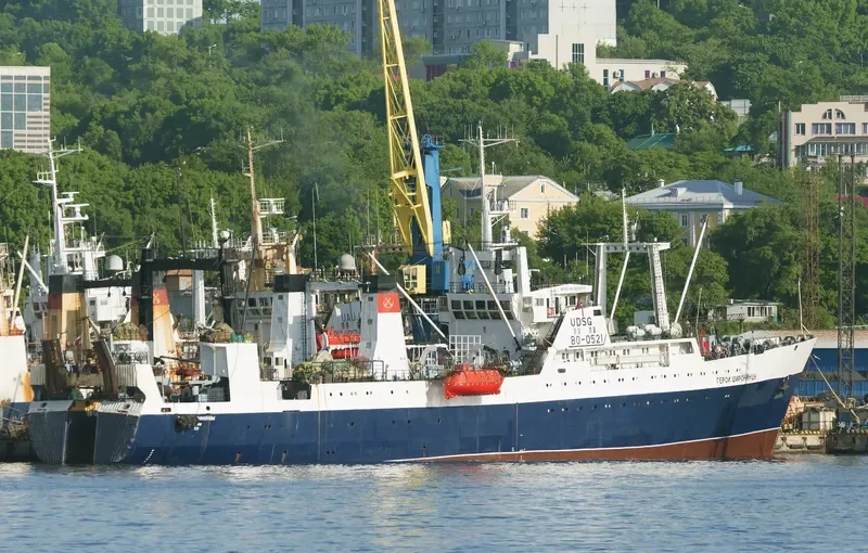 GEROI SHIRONINTSY General Cargo IMO 7832945 photo 7