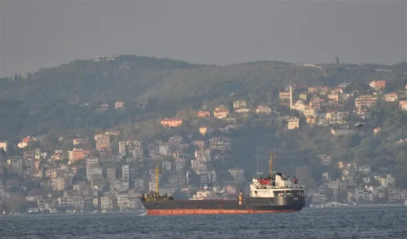 VILGA General Cargo IMO 7833119 photo 6