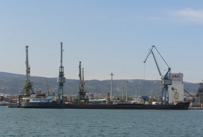 VILGA General Cargo IMO 7833119 photo 8