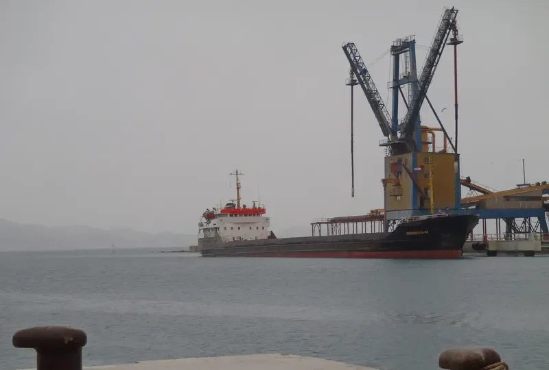 VILGA General Cargo IMO 7833119 photo 10