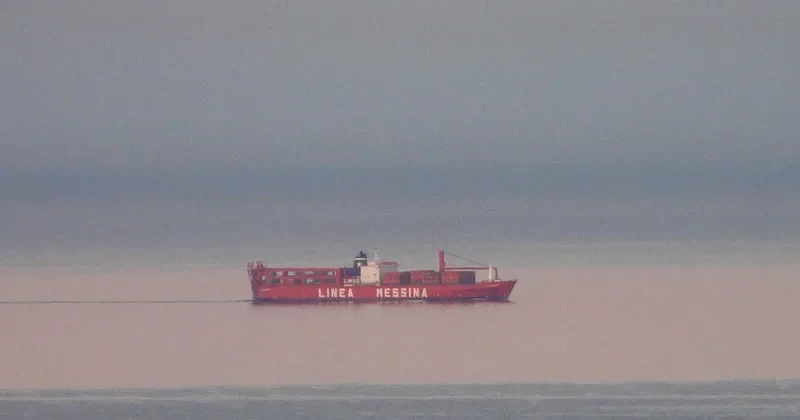 JOLLY ARGENTO Ro-Ro IMO 7900077 photo 7