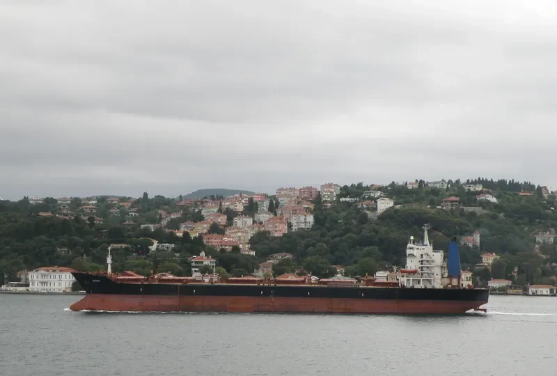 ADVENT Bulk Carrier IMO 7900261 photo 5