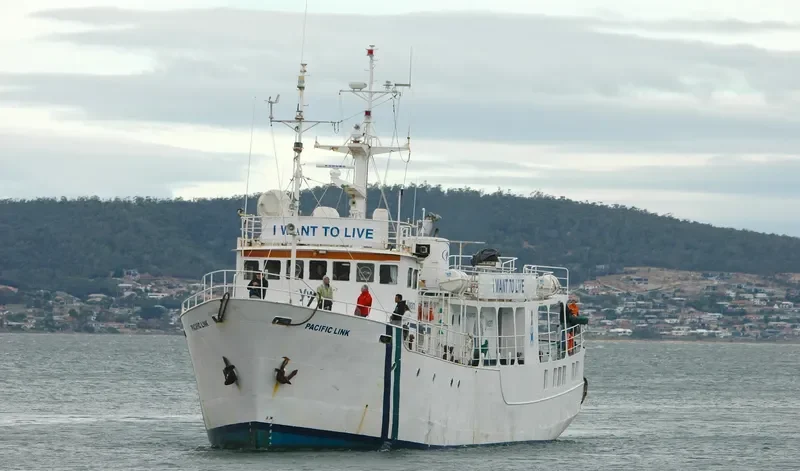 PACIFIC LINK General Cargo IMO 7900340 photo 10
