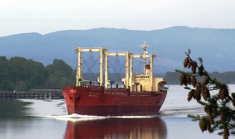 SAMMI CRYSTAL Bulk Carrier IMO 7900986