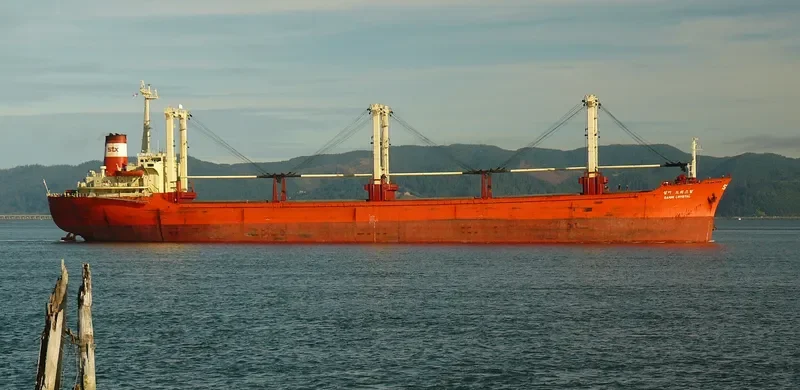 SAMMI CRYSTAL Bulk Carrier IMO 7900986 photo 6