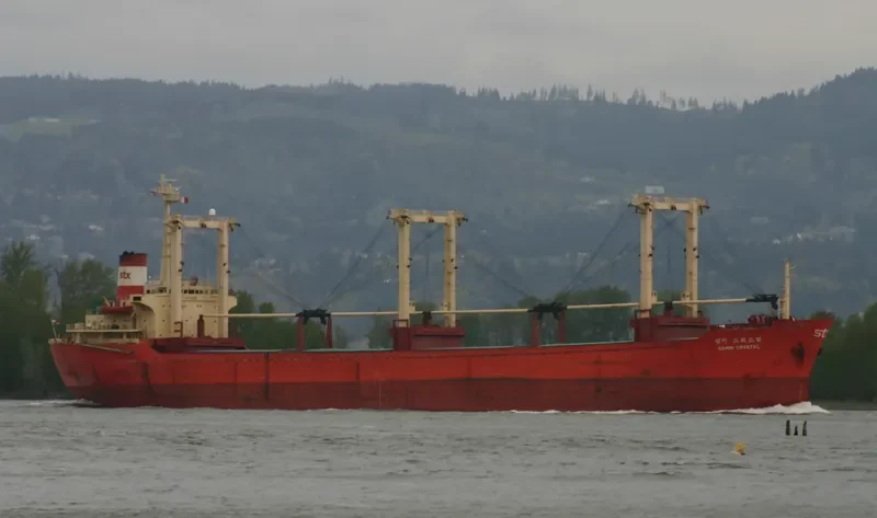 SAMMI CRYSTAL Bulk Carrier IMO 7900986 photo 9