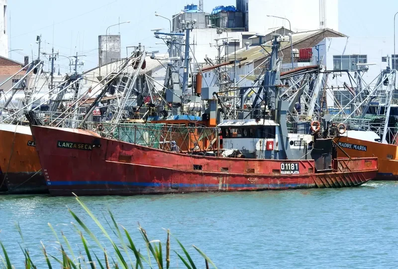 LANZA SECA General Cargo IMO 7901112 photo 4