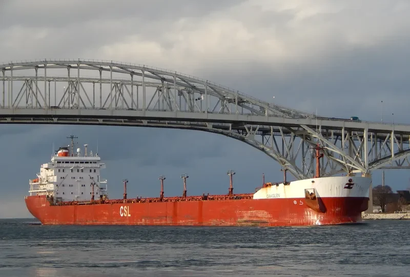 OAKGLEN Bulk Carrier IMO 7901148