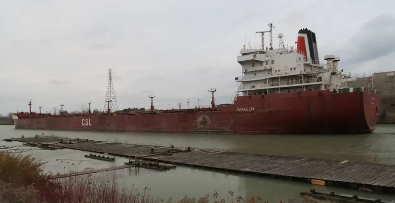 OAKGLEN Bulk Carrier IMO 7901148 photo 3