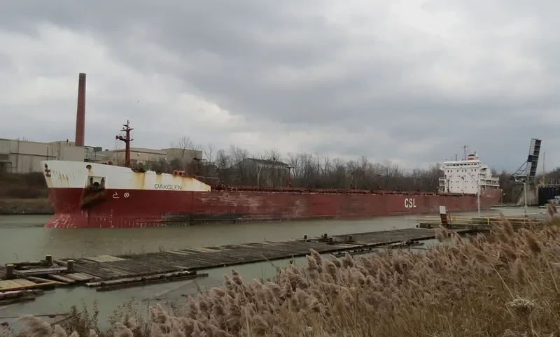 OAKGLEN Bulk Carrier IMO 7901148 photo 4