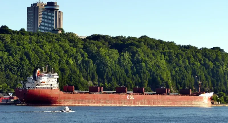 OAKGLEN Bulk Carrier IMO 7901148 photo 6
