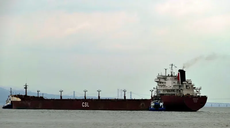 OAKGLEN Bulk Carrier IMO 7901148 photo 7