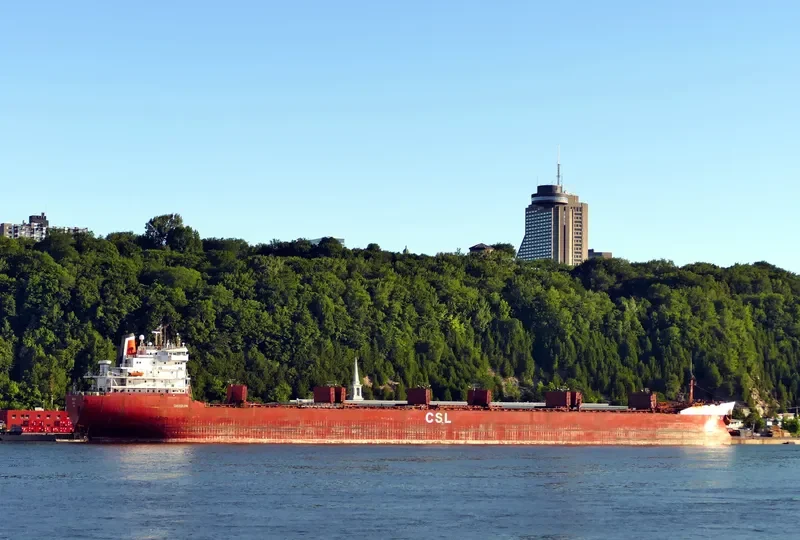 OAKGLEN Bulk Carrier IMO 7901148 photo 8