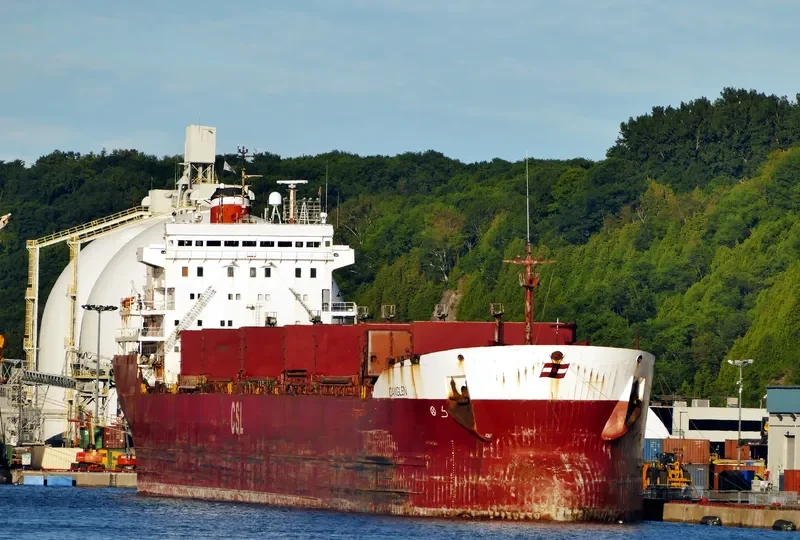 OAKGLEN Bulk Carrier IMO 7901148 photo 9