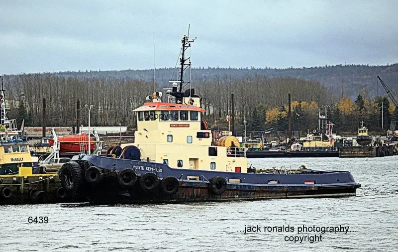 OCEAN SEPT ILES General Cargo IMO 7901162 photo 3