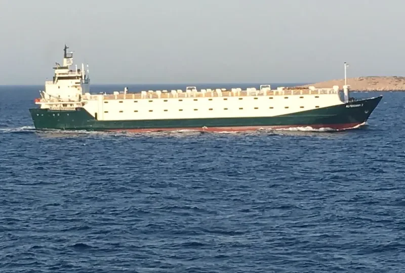 JULIA L.S General Cargo IMO 7901693 photo 7