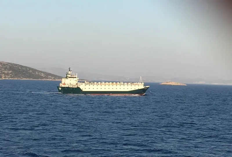JULIA L.S General Cargo IMO 7901693 photo 9