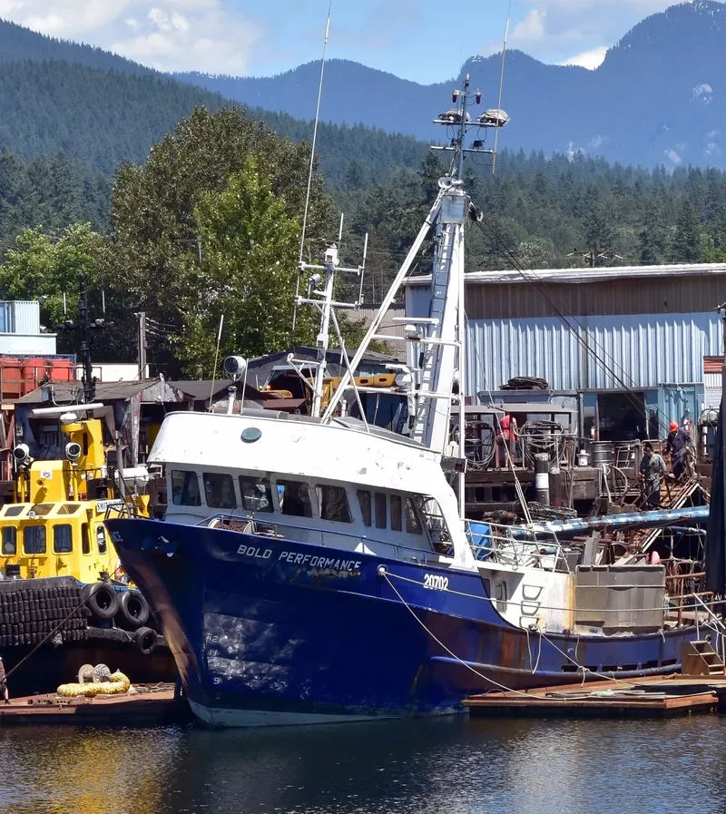 BOLD PERFORMANCE General Cargo IMO 7902207