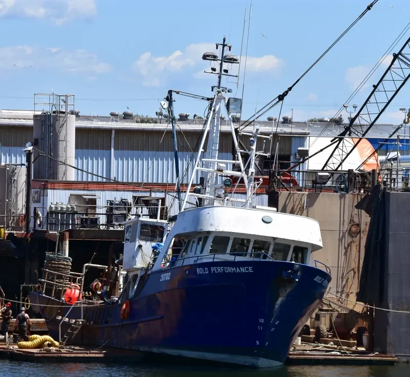 BOLD PERFORMANCE General Cargo IMO 7902207 photo 2