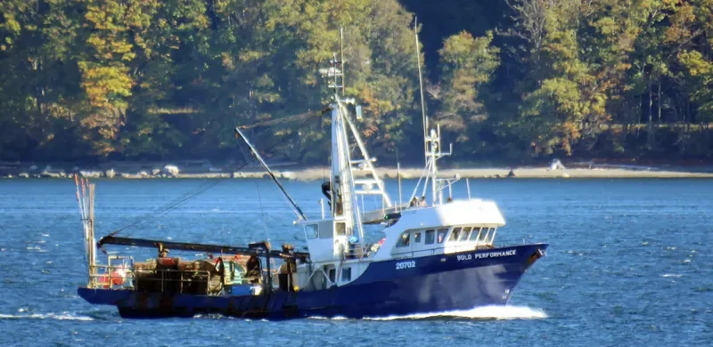 BOLD PERFORMANCE General Cargo IMO 7902207 photo 3