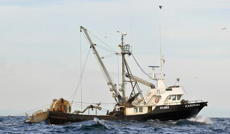 KARENORA General Cargo IMO 7902219 photo 6