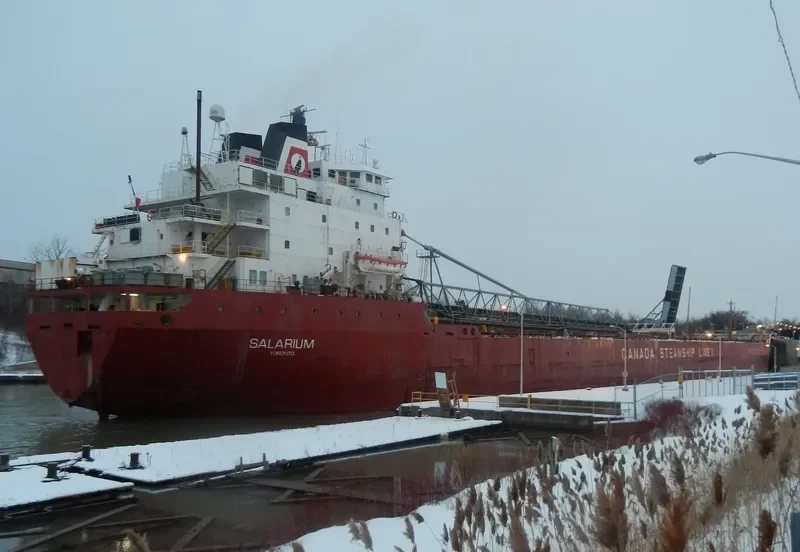 SALARIUM Bulk Carrier IMO 7902233 photo 3