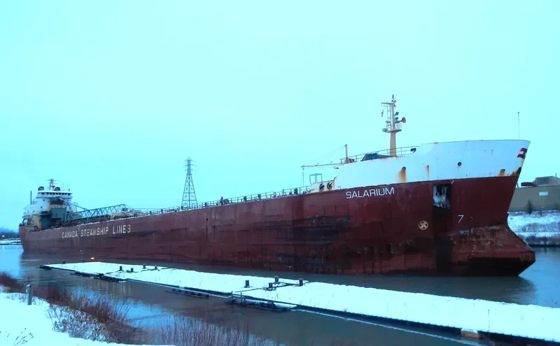 SALARIUM Bulk Carrier IMO 7902233 photo 5