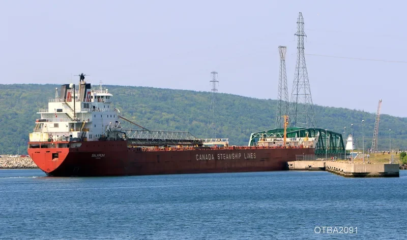 SALARIUM Bulk Carrier IMO 7902233 photo 7