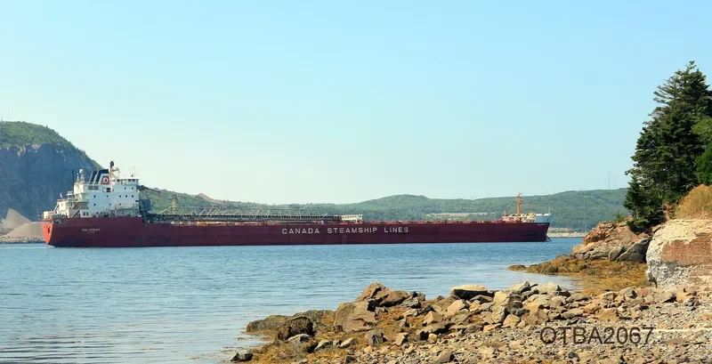 SALARIUM Bulk Carrier IMO 7902233 photo 8